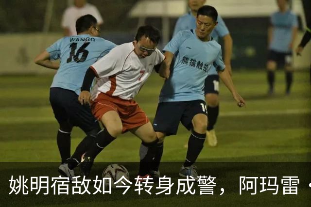 姚明宿敌如今转身成警，阿玛雷·斯塔德迈尔的新生活